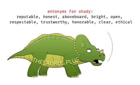 shady synonym|opposite of shady.